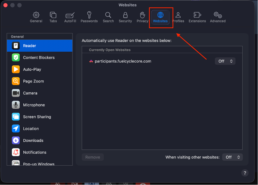 Safari Websites Tab.png